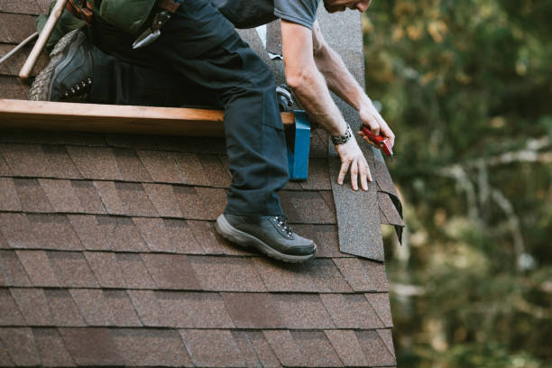 Professional Roofing Contractor in Lafayette, CO